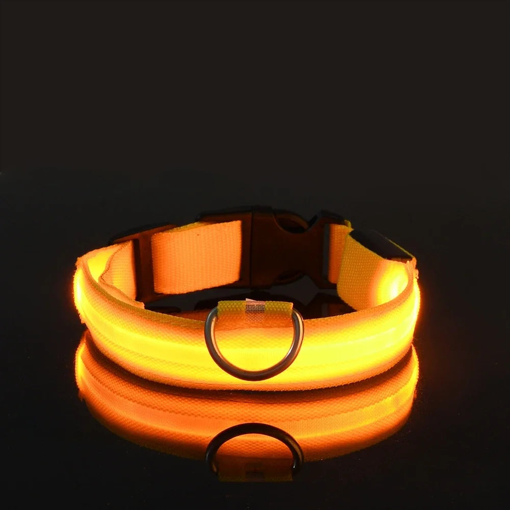 🐶 LED Safety Dog Collar – Glow-in-the-Dark & Flashing Night Light