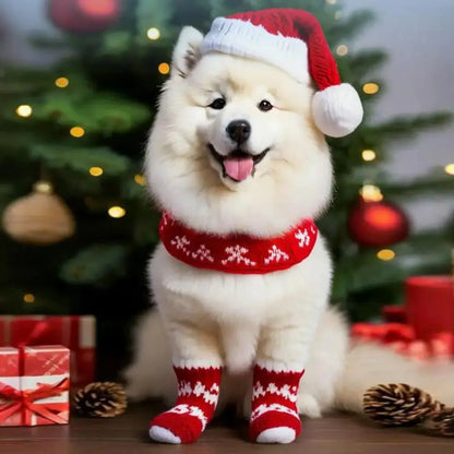 🧦 Festive Knitted Pet Socks – Set of 4 Anti-Slip Booties