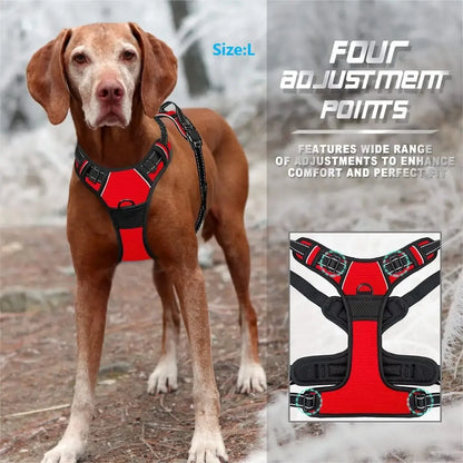 🐕 Leather Collar & Harness Set – Stylish Essentials for Small & Medium Dogs